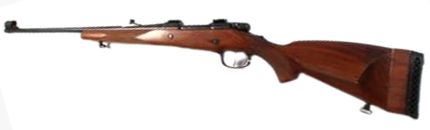 CZ 531 image